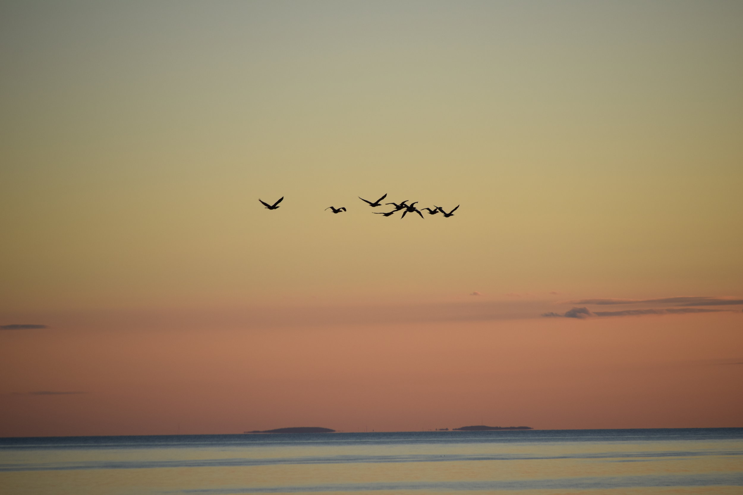 DSC_0812.JPG