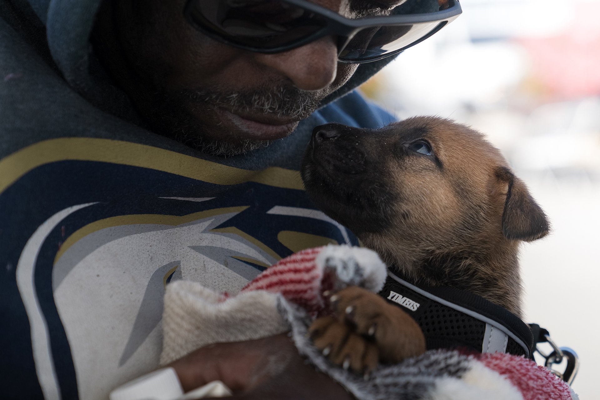 Owner-Puppy_UpClose.jpg