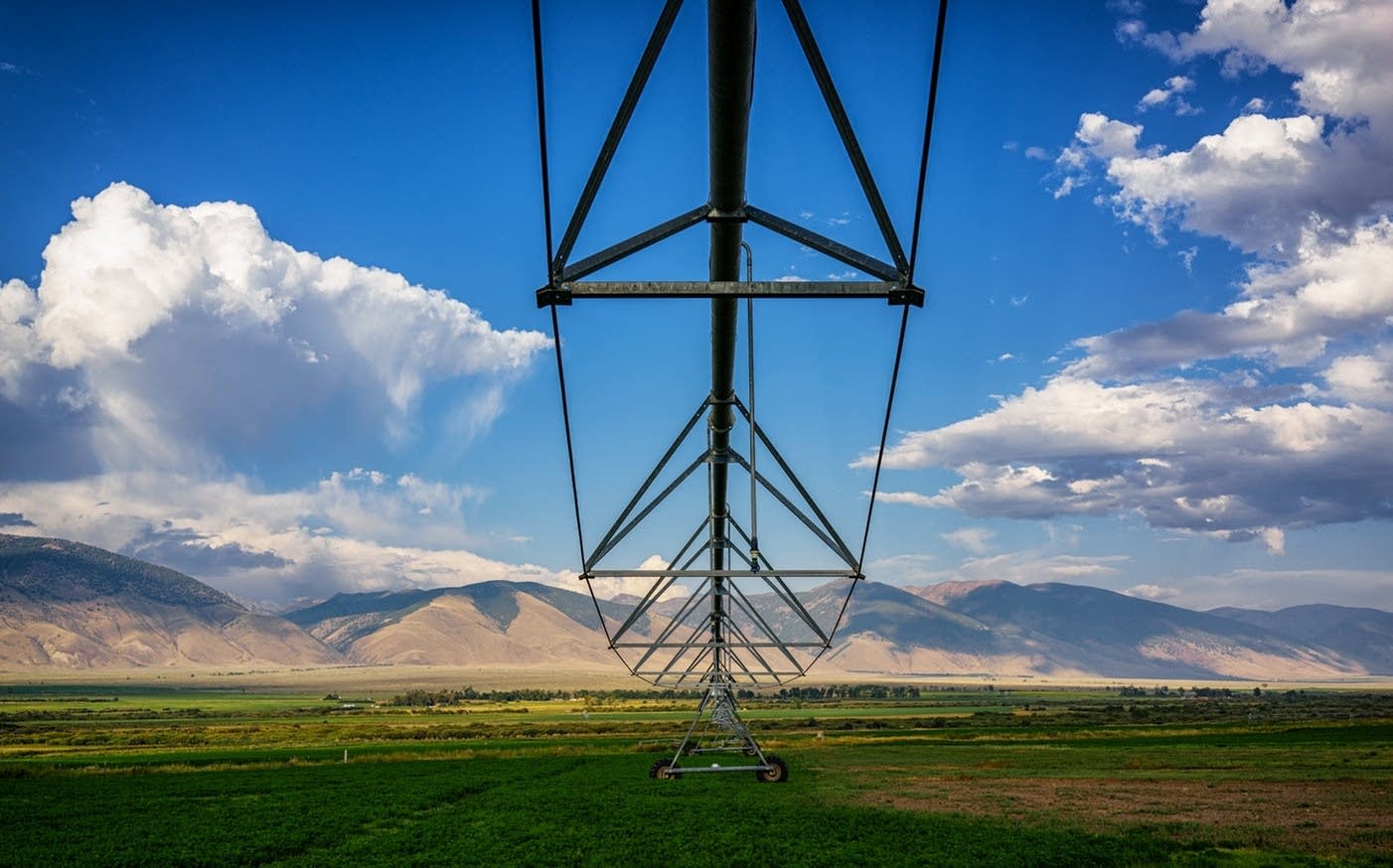 irrigation.jpg