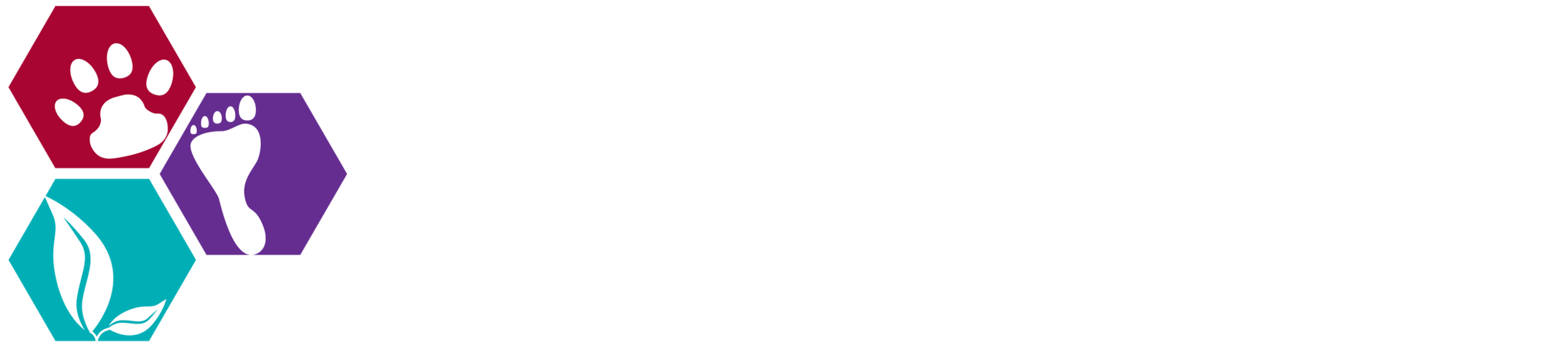 one-health-clinic-logo-color.png