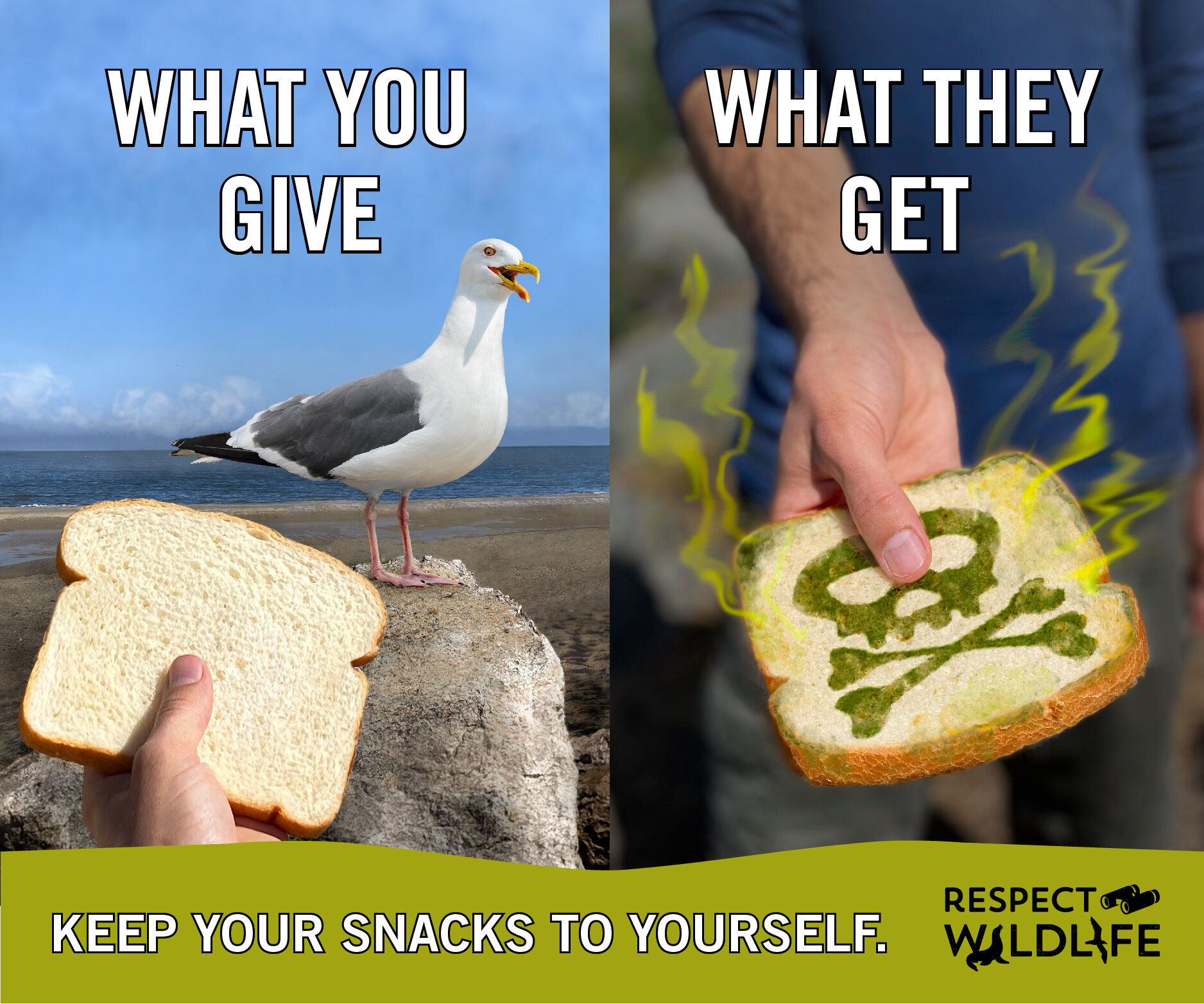 RW-Feeding-Meme-Ad-01.jpg