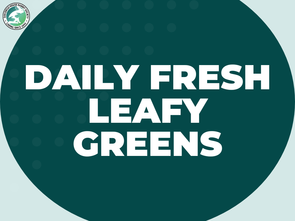 Daily Fresh Leafy Greens
