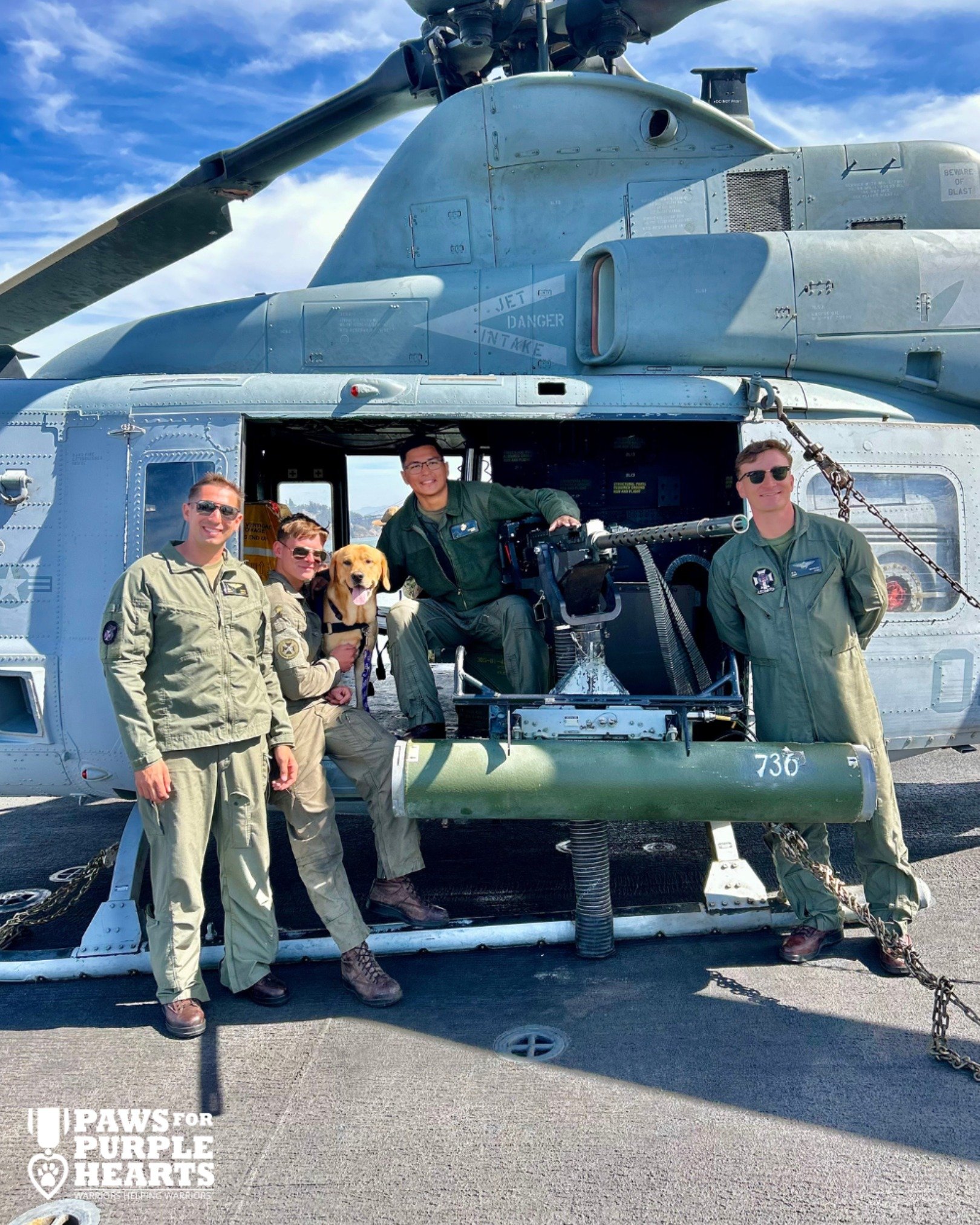 #pphPeter hanging out with the crew of the USS Somerset LPD-25!

#pawsforpurplehearts #usssomerset #usssomersetlpd25 #pph #nonprofit #servicedoglife #servicedogintraining #sdit #servicedogsforveterans #servicedogs4vets #pphbayarea #warriorshelpingwar