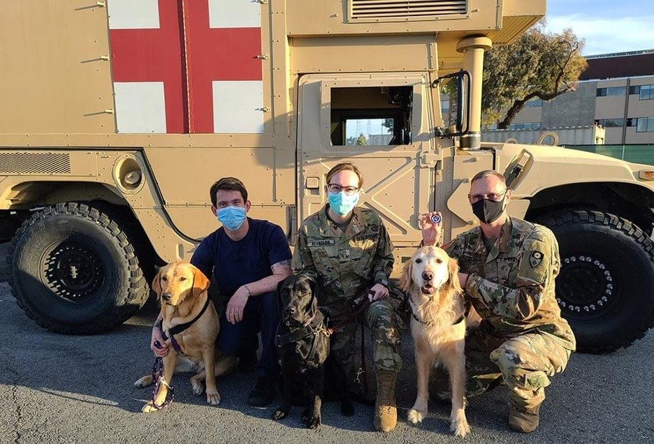PAWS FOR PUBLIC HEALTH
